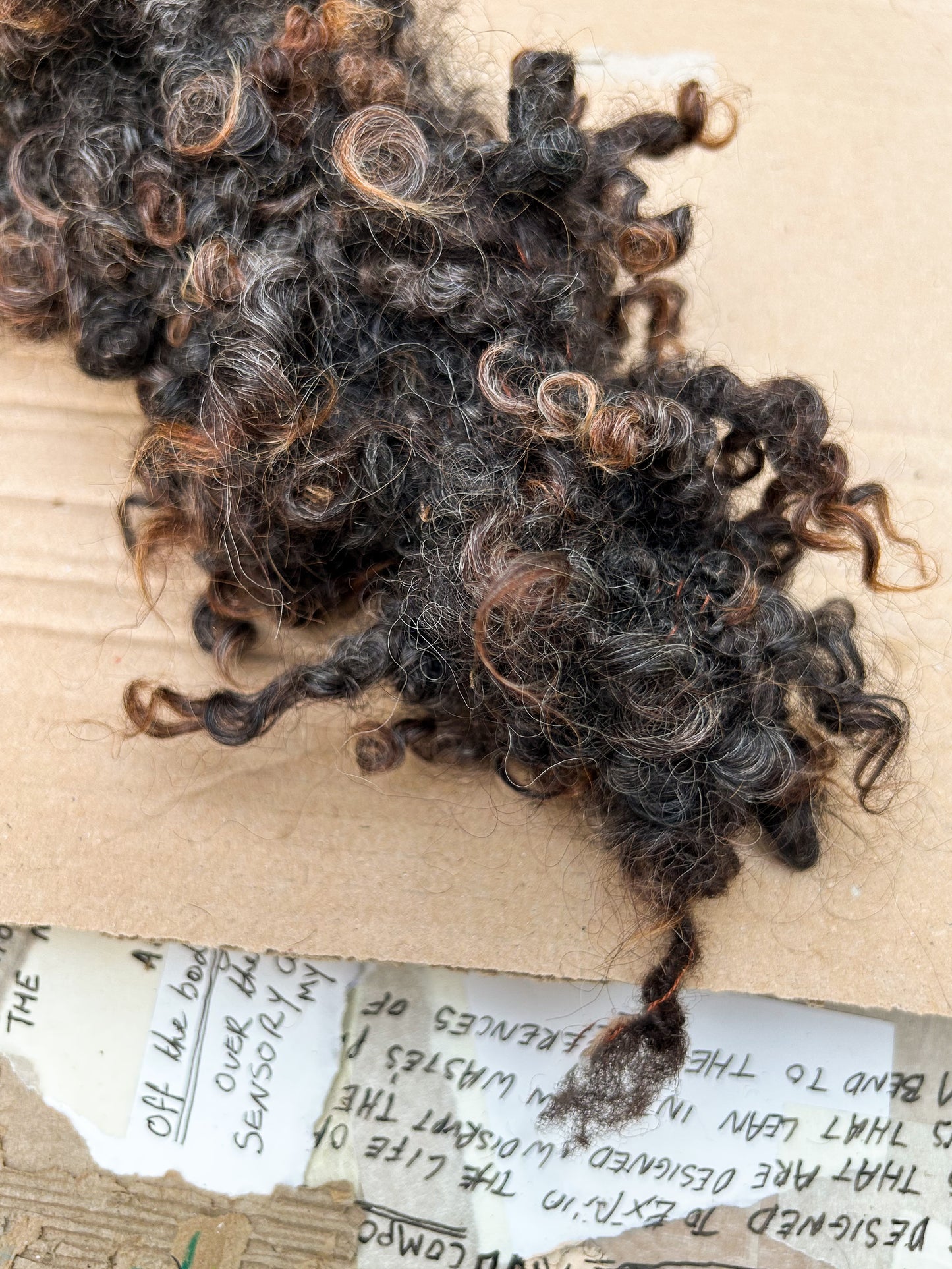 Handspun Premium Wensleydale Lock Spun Bouclé 3 ply Skein ☆ 65g Wensleydale Locks, Shetland Wool and Italian Silk 3Ply Yarn