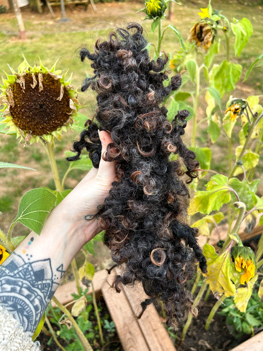 Handspun Premium Wensleydale Lock Spun Bouclé 3 ply Skein ☆ 65g Wensleydale Locks, Shetland Wool and Italian Silk 3Ply Yarn