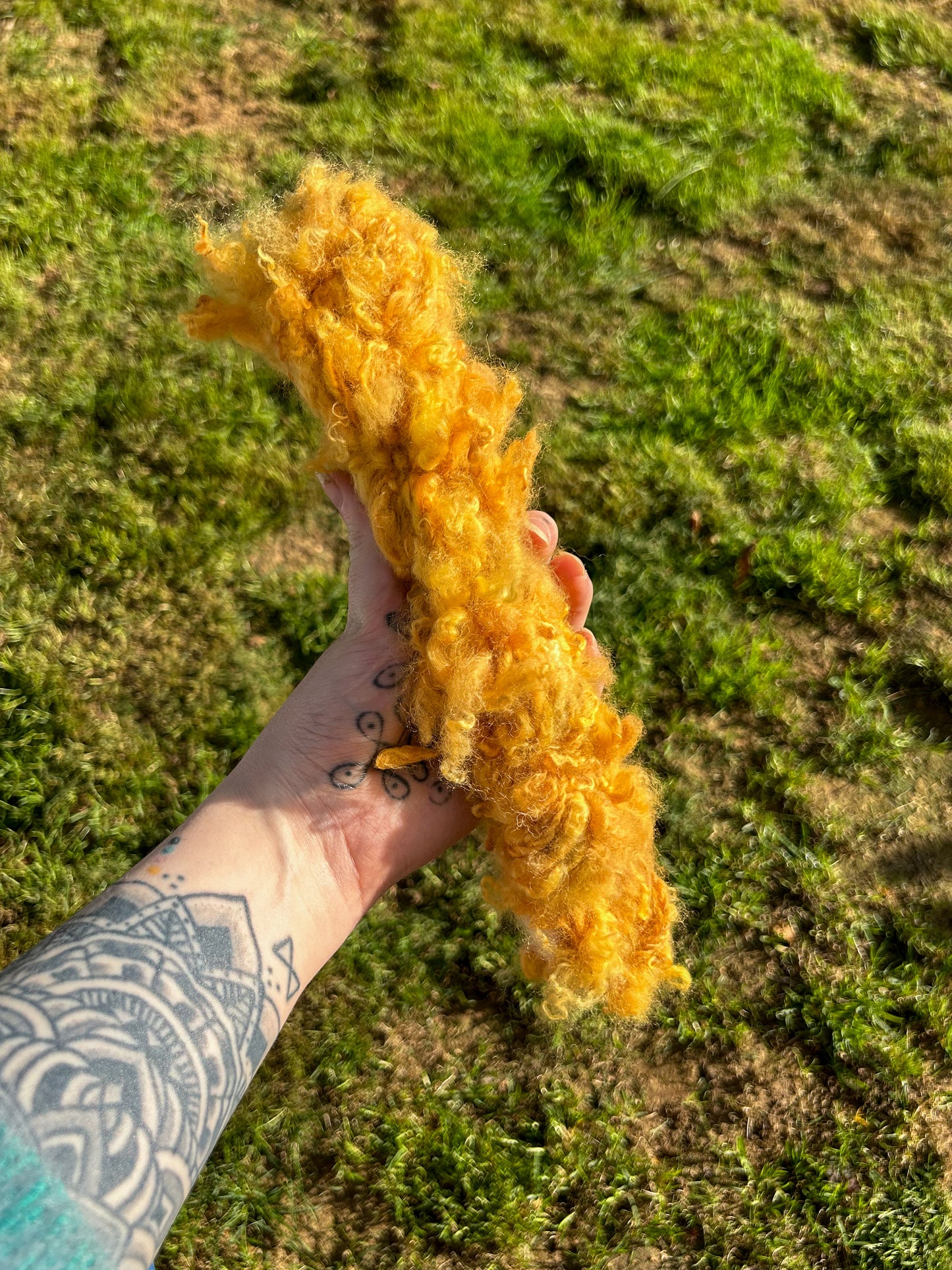 Handspun Annatto Orange Dyed Lock Spun Baby Alpaca 2ply Skein ☆  40g Naturally Dyed Alpaca Yarn