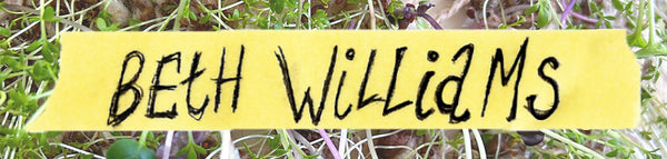 Beth Williams